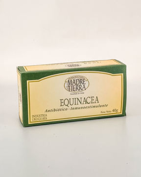 26032 equinacea 40g
