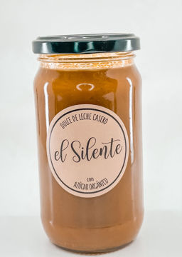 100696 ducle de leche silente 420g