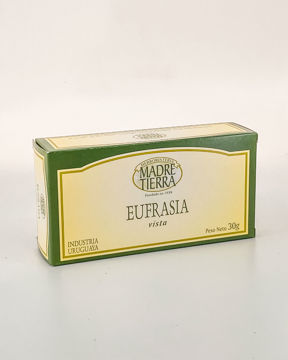 26033 eufrasia