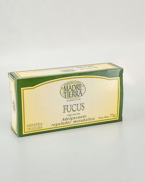 26034 fucus