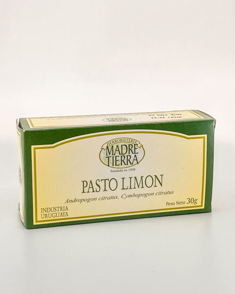 26045 pasto limon 30g