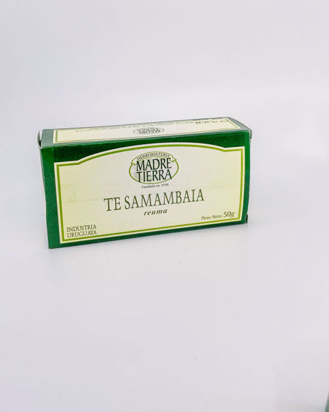 26062 te samambaia 50g