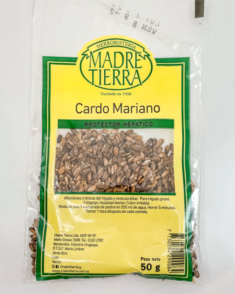29008 cardo mariano