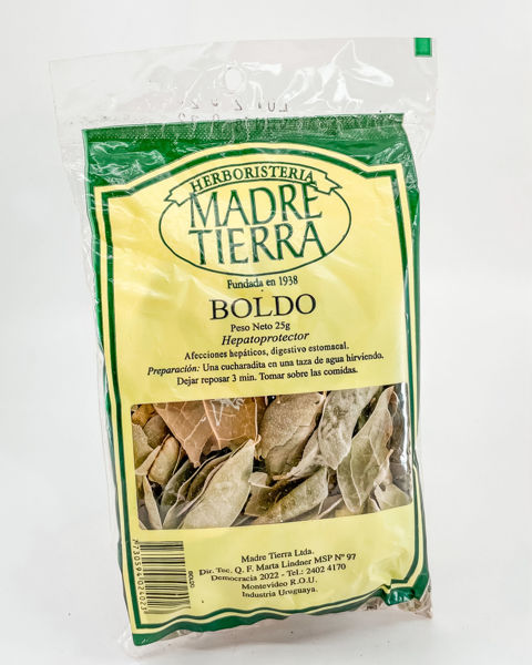 29005 boldo 25g