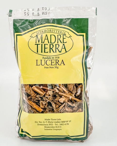 29021 lucera 20g