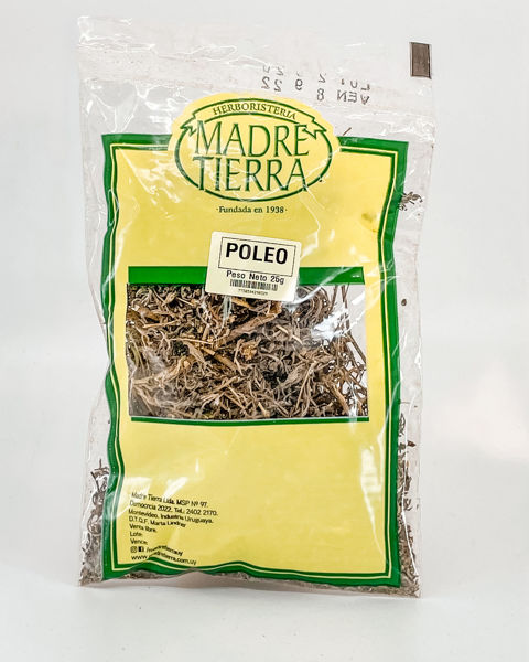 29032 poleo