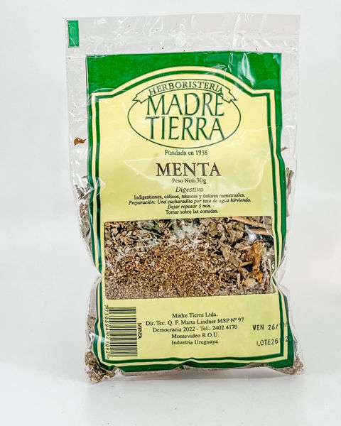 29029 menta 20g