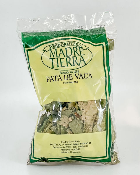 29031 pata de vace