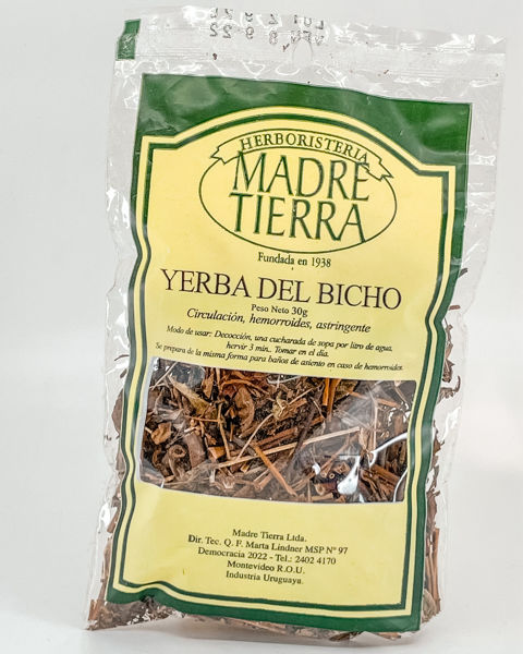 29044 yerba del bicho