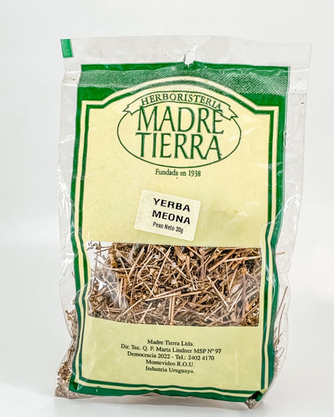29047 yerba meona