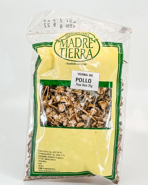 29045 yerba del pollo