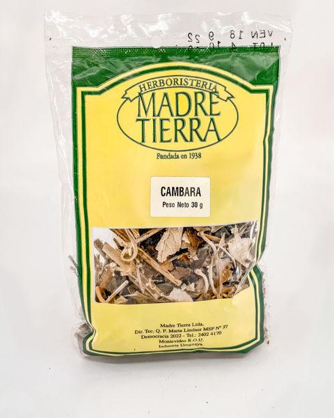 29062 cambara 30g