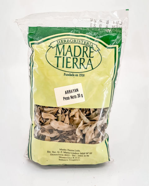 29063 arrayan 30g