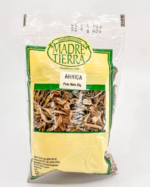29064 arnica 25g