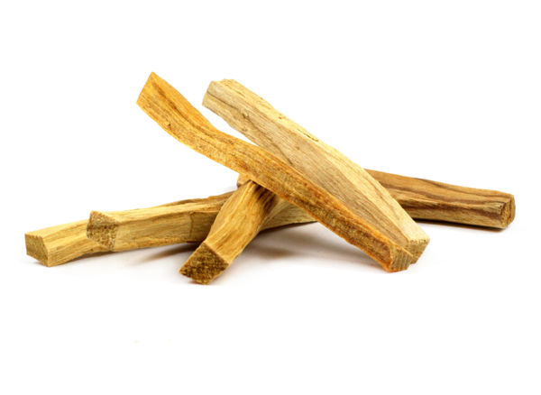 Imagen de PALO SANTO 20GR