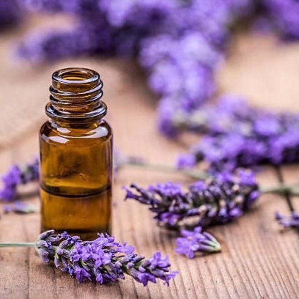Imagen de ACEITE ESENCIAL LAVANDA 10CC MADRE TIERRA