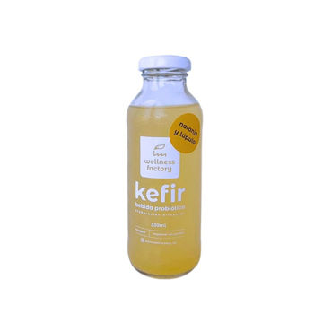 Imagen de KEFIR NARANJA LUPULO 330ML WELLNESS FACTORY