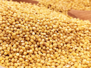 Imagen de MIJO PELADO 500G