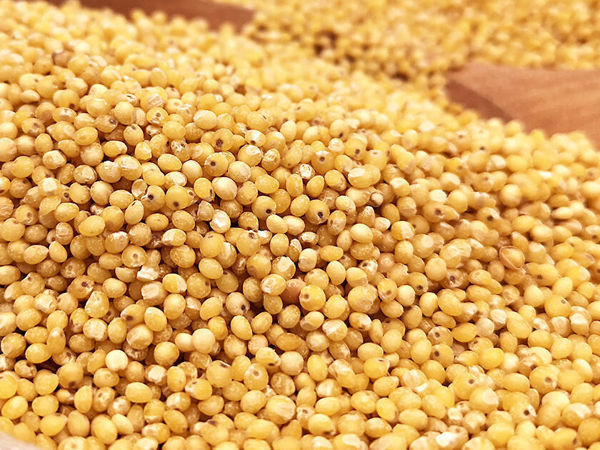 Imagen de MIJO PELADO 500G