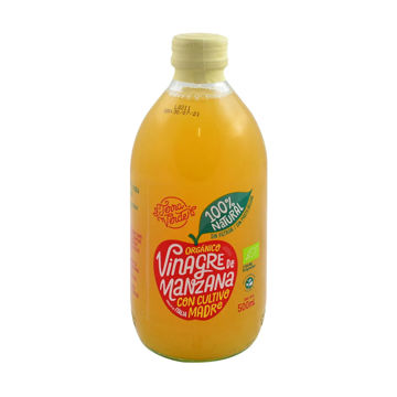 Imagen de VINAGRE MANZANA CURCUMA+JENGIBRE TERRA VERDE 500ML